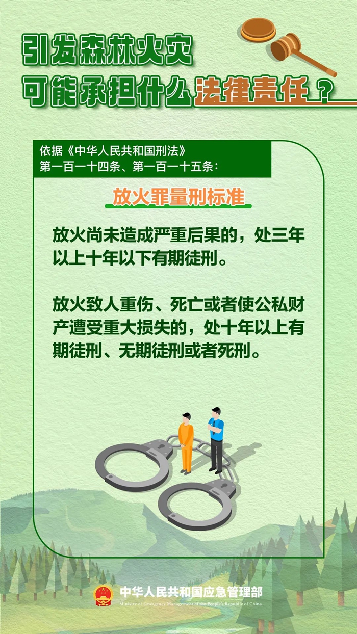 森林圖片4.jpg 森林圖片4.jpg